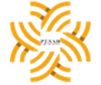 logo icon